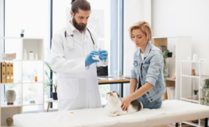 Wie eine Kleintierpraxis Ihrem Haustier zu einem gesünderen Leben verhilft
